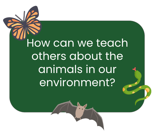 Project Based Learning in Pre-Kindergarten